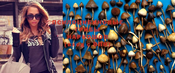 спиды Белоозёрский