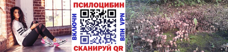 Псилоцибиновые грибы прущие грибы  Купить где  Артёмовск 